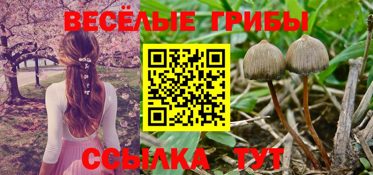 Галлюциногенные грибы Magic Shrooms Ярославль